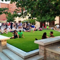 Grass Carpet Americus, Kansas Landscape Design, Parks