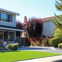 Grass Carpet Herndon, Kansas Design Ideas, Landscaping Ideas For Front Yard