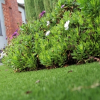 Grass Carpet Maize, Kansas Landscaping Business, Front Yard Design