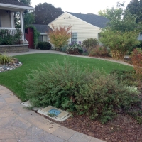 Grass Carpet Manter, Kansas Home And Garden, Front Yard
