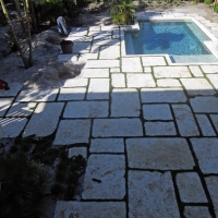 Grass Carpet Partridge, Kansas Landscape Ideas, Natural Swimming Pools