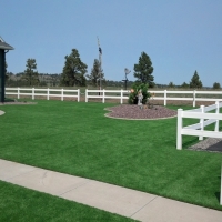 Grass Carpet Savonburg, Kansas Lawns, Backyard Garden Ideas