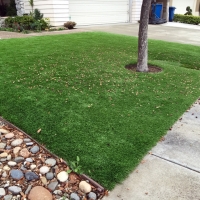 Grass Carpet Wellington, Kansas Landscape Ideas, Front Yard Landscape Ideas