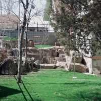 Grass Installation Auburn, Kansas Backyard Deck Ideas, Backyard Makeover