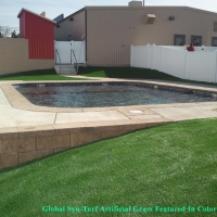 Grass Turf Andale, Kansas Landscape Photos, Natural Swimming Pools