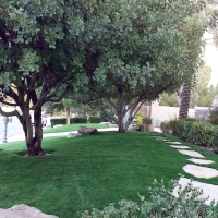 Grass Turf Lyndon, Kansas Landscaping Business, Front Yard Landscaping Ideas