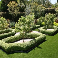 Grass Turf Onaga, Kansas Garden Ideas
