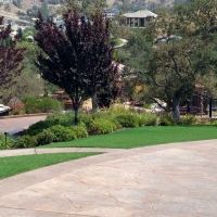 Grass Turf Vermillion, Kansas Backyard Deck Ideas, Front Yard Design