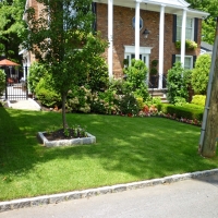 Grass Turf Wakefield, Kansas Landscape Design, Front Yard
