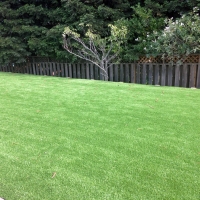 How To Install Artificial Grass Spring Hill, Kansas Landscape Photos, Backyard Landscape Ideas