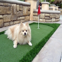 Lawn Services Hamilton, Kansas Landscaping Business, Dog Kennels