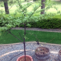 Outdoor Carpet Buhler, Kansas Landscape Ideas, Small Front Yard Landscaping