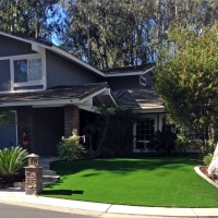 Outdoor Carpet Burns, Kansas Landscape Photos, Front Yard Landscaping