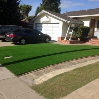 Outdoor Carpet Fowler, Kansas Landscape Design, Front Yard