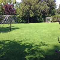 Plastic Grass Dwight, Kansas Backyard Playground, Backyard Makeover