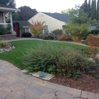 Plastic Grass Huron, Kansas Gardeners, Front Yard Landscape Ideas