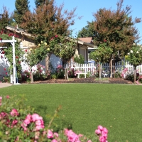 Plastic Grass Overland Park, Kansas Landscape Ideas, Front Yard Landscaping Ideas