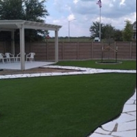 Plastic Grass Sylvia, Kansas Gardeners, Backyard Design