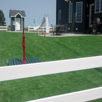 Synthetic Grass Altamont, Kansas Landscape Ideas, Front Yard