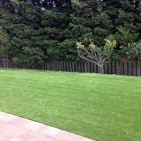 Synthetic Grass Cost Holton, Kansas Lawns, Backyards
