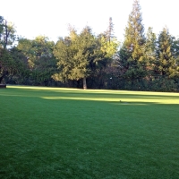 Synthetic Grass Cost Parkerville, Kansas Rooftop, Recreational Areas