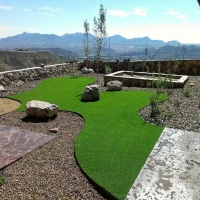 Synthetic Grass Cost Pomona, Kansas Cat Grass, Backyard