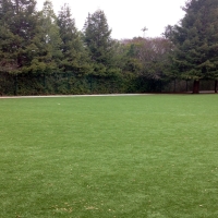 Synthetic Grass Hays, Kansas Backyard Playground, Parks