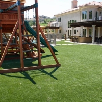 Synthetic Grass Lyons, Kansas Athletic Playground, Backyard