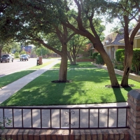 Synthetic Lawn Colony, Kansas City Landscape, Front Yard Landscape Ideas