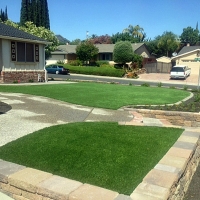 Synthetic Lawn Dighton, Kansas Lawn And Garden