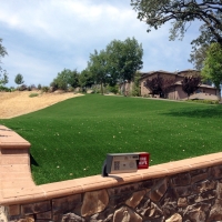 Synthetic Lawn Rantoul, Kansas Landscaping Business, Front Yard Landscaping Ideas