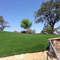 Synthetic Turf Elk City, Kansas Home And Garden, Landscaping Ideas For Front Yard