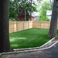 Synthetic Turf Oswego, Kansas Dog Pound, Backyard Design