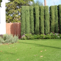 Synthetic Turf Oxford, Kansas Gardeners, Front Yard Design