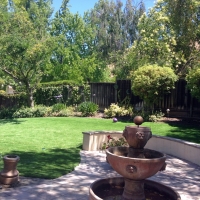 Synthetic Turf Supplier Abbyville, Kansas Lawns, Small Backyard Ideas