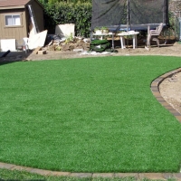 Synthetic Turf Supplier Burrton, Kansas Landscaping, Backyard Landscaping