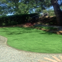 Turf Grass Denton, Kansas Rooftop, Backyard Landscaping Ideas