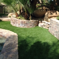 Turf Grass Frankfort, Kansas Roof Top, Backyard Designs