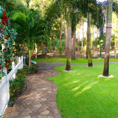 Artificial Turf in Alta Vista, Kansas