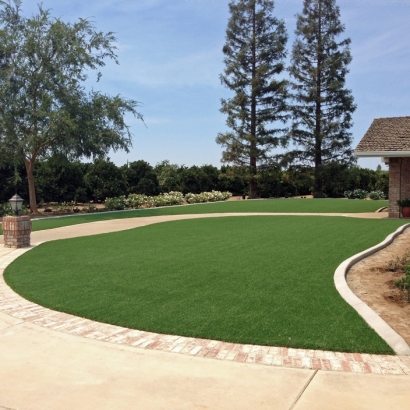 Artificial Turf in Victoria, Kansas