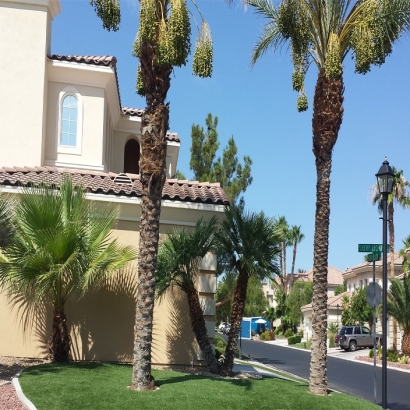 Artificial Grass Carpet Coldwater, Kansas Garden Ideas, Front Yard Landscaping Ideas
