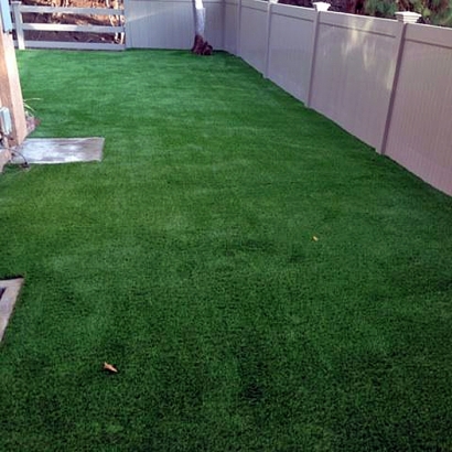 Artificial Grass Carpet Garden Plain, Kansas Dog Parks, Backyard Ideas