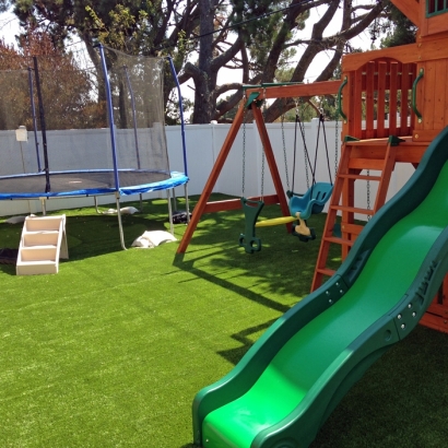 Artificial Turf in Glen Elder, Kansas