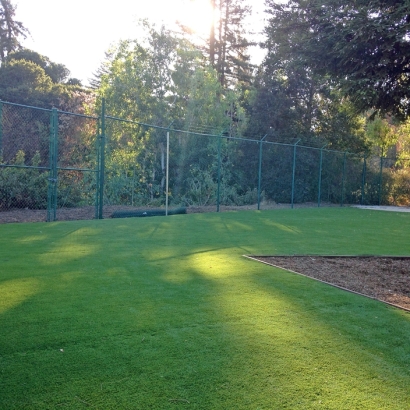 Artificial Turf in Great Bend, Kansas