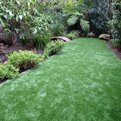 Artificial Turf in Morrowville, Kansas