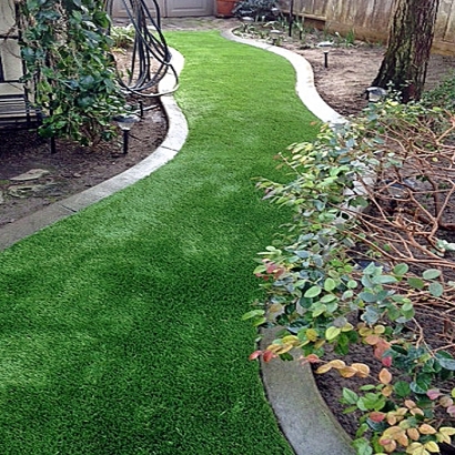 Artificial Grass in Lost Springs, Kansas