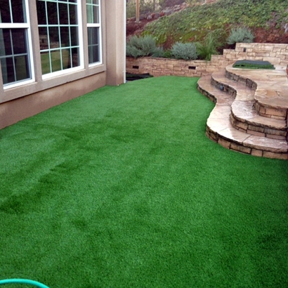 Artificial Grass Carpet Strong City, Kansas Roof Top, Small Backyard Ideas