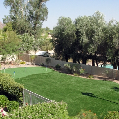 Synthetic Lawns & Putting Greens in Tescott, Kansas