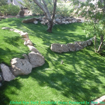 Artificial Grass Carpet Valley Center, Kansas Landscape Ideas, Commercial Landscape