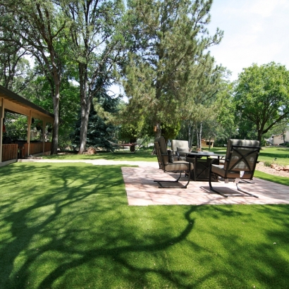 Artificial Grass Carpet Willowbrook, Kansas City Landscape, Backyard Makeover
